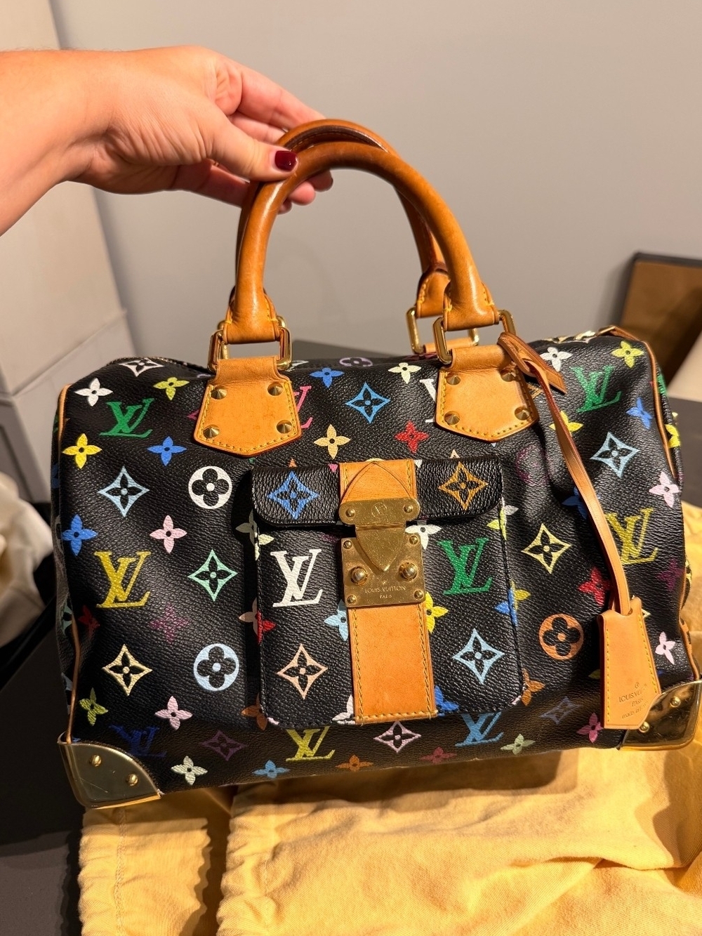 Louis Vuitton Multicolor Black Canvas Speedy 30 Handbag
